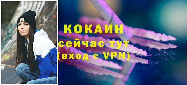 бошки Инсар