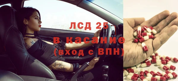 ПСИЛОЦИБИНОВЫЕ ГРИБЫ Зеленодольск
