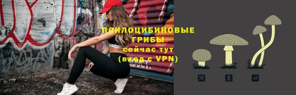 ПСИЛОЦИБИНОВЫЕ ГРИБЫ Зеленодольск