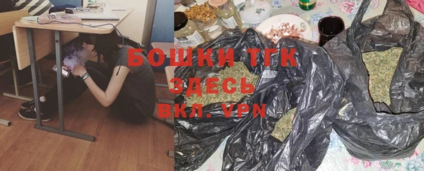 дмт Инта