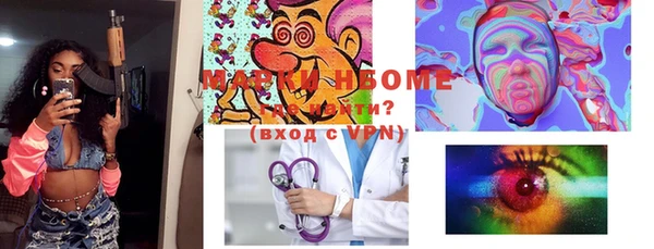 дмт Инта
