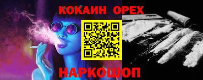 крисы Камышлов