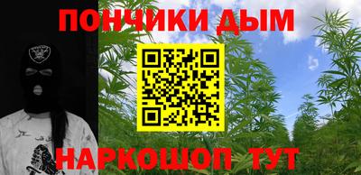 крисы Камышлов