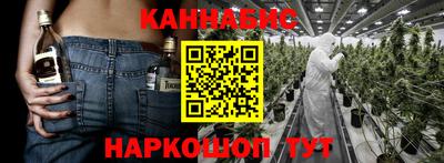 крисы Камышлов
