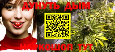 крисы Камышлов
