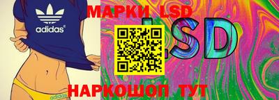 крисы Камышлов