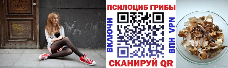 Псилоцибиновые грибы прущие грибы  omg tor  Кострома 